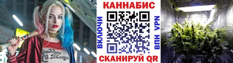 Канабис план  где можно купить   Кувшиново 
